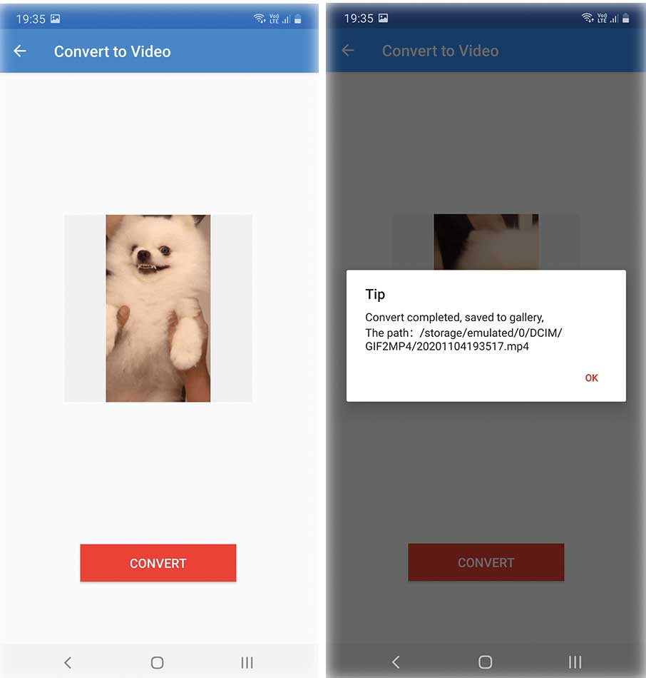 Gif to Video 3 App