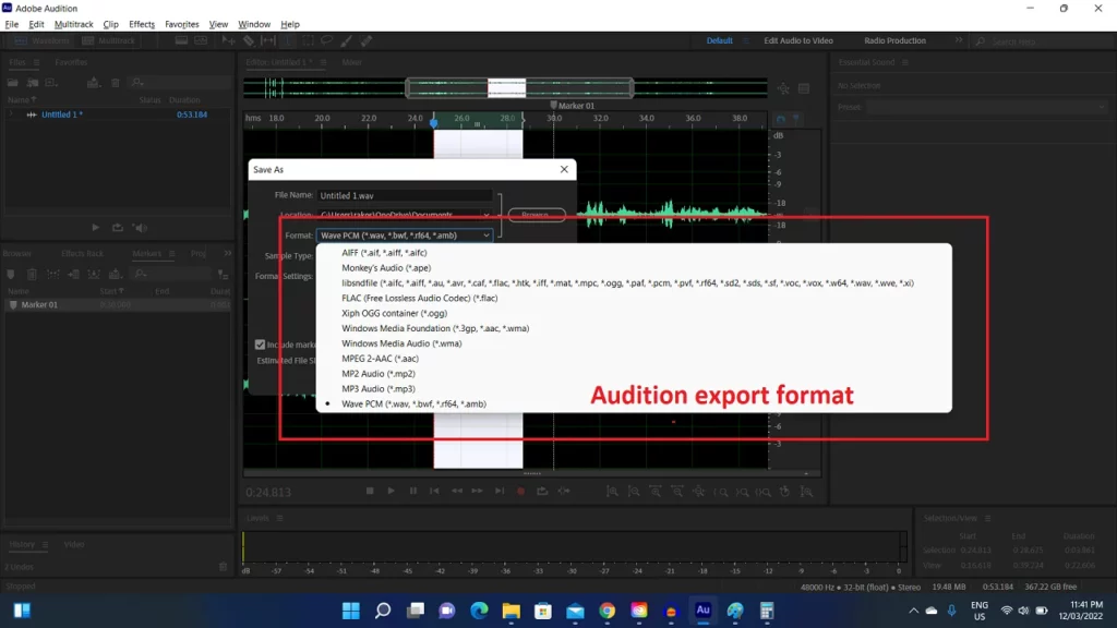 Adobe Audition Exporting Options