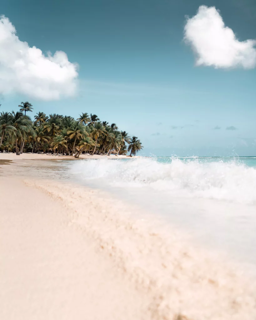 StreamYard Background Beach