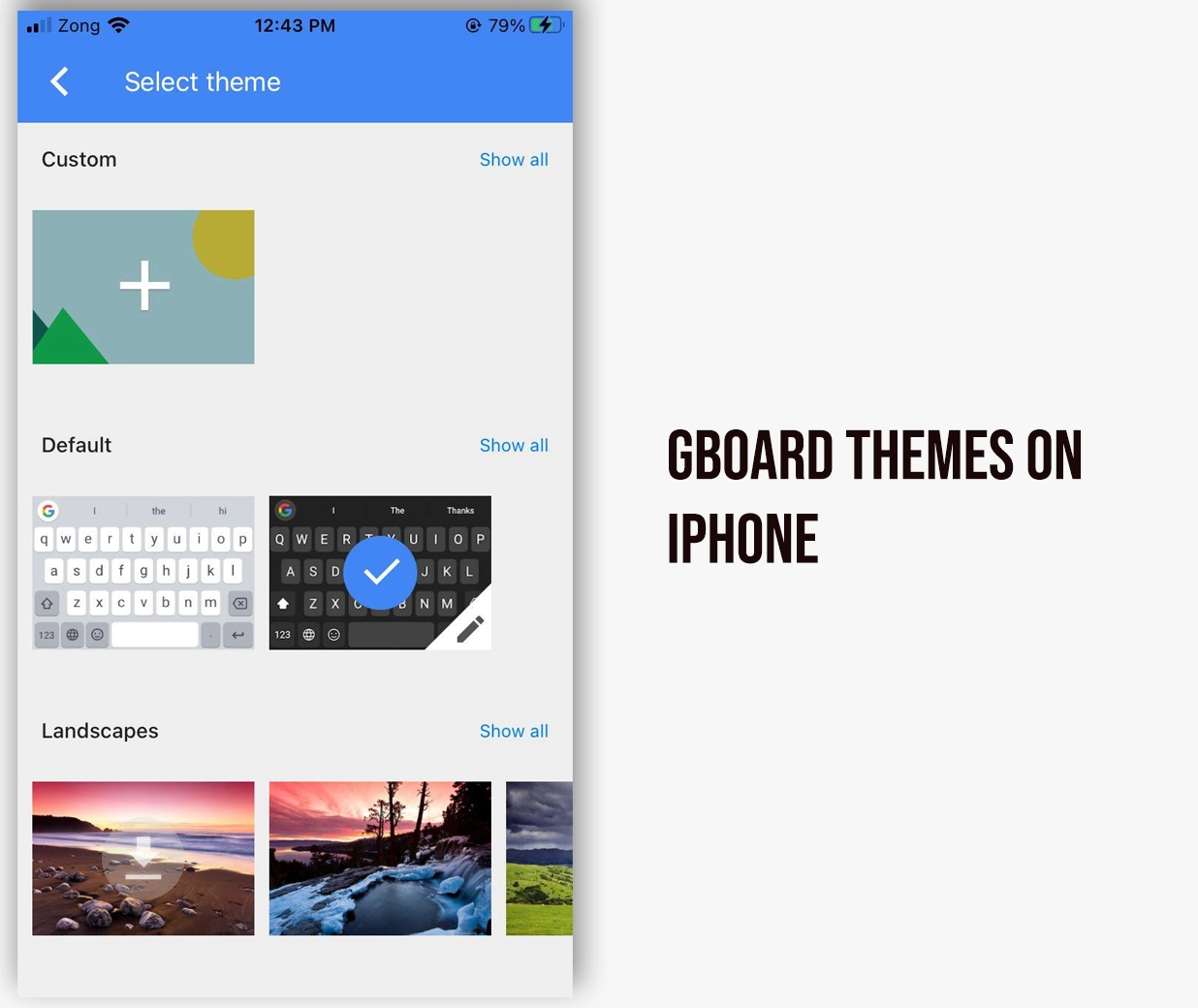 Themes in Gboard iOS