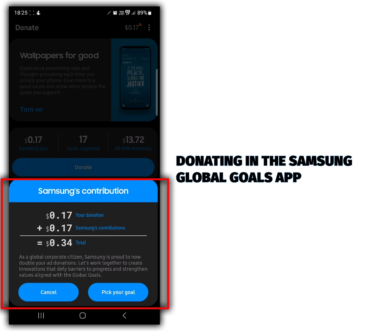 Donating Money in the Global Goals App