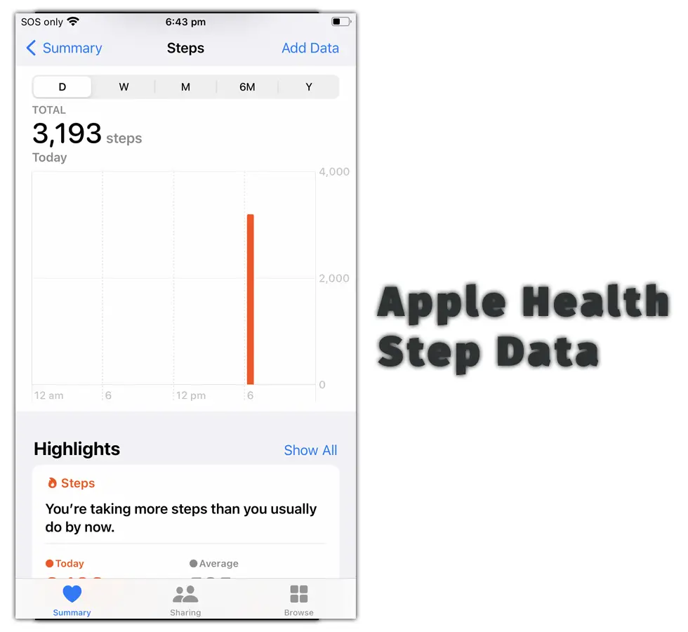 Apple Health Step Data