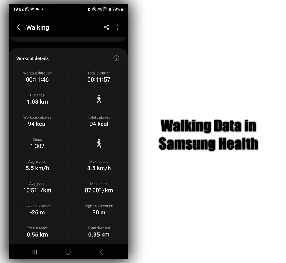 Walking Data in Samsung Health
