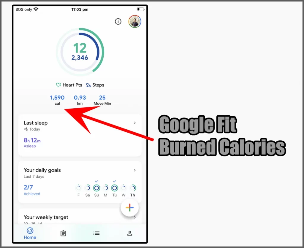 Google Fit Burned Calories
