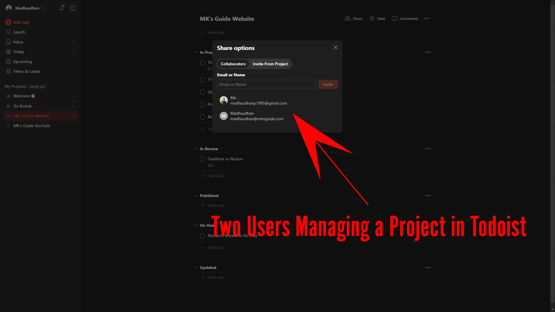 Users Managing a Project in Todoist